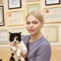 Ветеринарная клиника Биосфера Фото 2 на проекте VetSpravka.ru Ветеринарная клиника Биосфера Фото 2 на проекте VetSpravka.ru