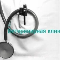Ветеринарная клиника Доктор Вет Фото 2 на проекте VetSpravka.ru Ветеринарная клиника Доктор Вет Фото 2 на проекте VetSpravka.ru