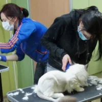 Специализированный центр по уходу за животными Dog & Сat Фото 2 на проекте VetSpravka.ru Специализированный центр по уходу за животными Dog & Сat Фото 2 на проекте VetSpravka.ru