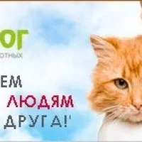 Клиника Краснодог на проекте VetSpravka.ru Клиника Краснодог на проекте VetSpravka.ru