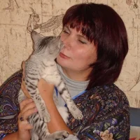 Клуб любителей кошек Persona-cat Фото 2 на проекте Krsd.vetspravka.ru Клуб любителей кошек Persona-cat Фото 2 на проекте Krsd.vetspravka.ru