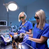Ветеринарная клиника BroVet  на проекте Krsd.vetspravka.ru