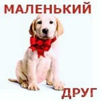Ветеринарная клиника Маленький друг на проекте Krsd.vetspravka.ru Ветеринарная клиника Маленький друг на проекте Krsd.vetspravka.ru